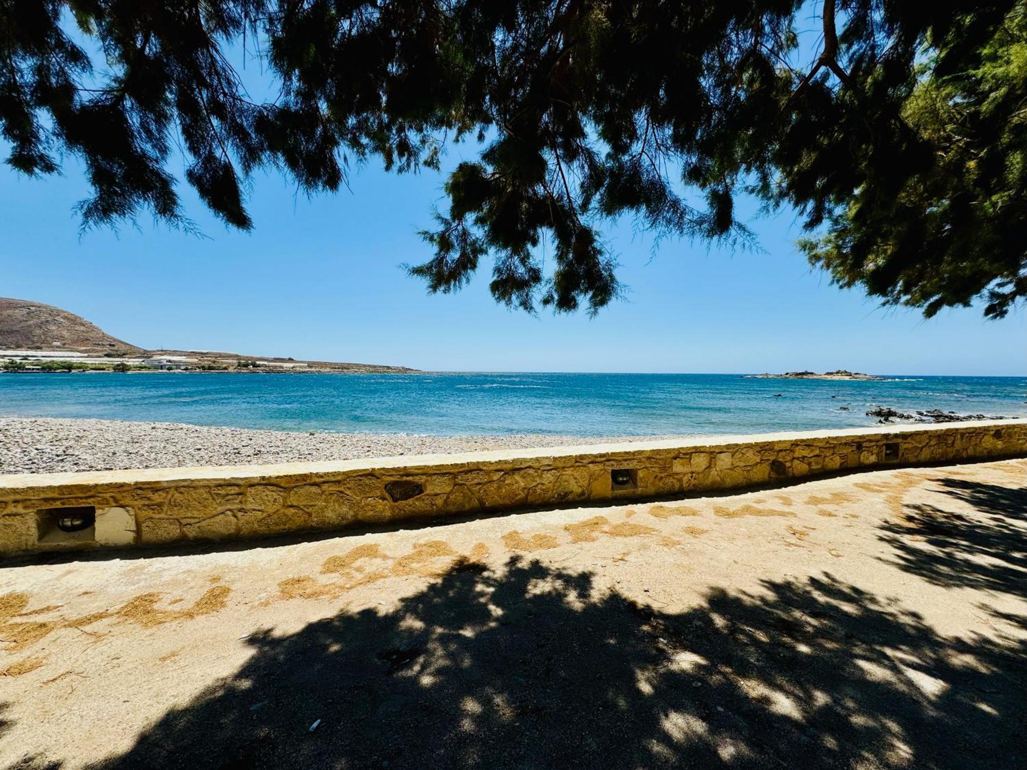 Baloma Фаласарна